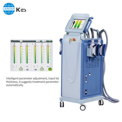 Мощная машина тела машины Cryolipolysis более тонкая для потери веса