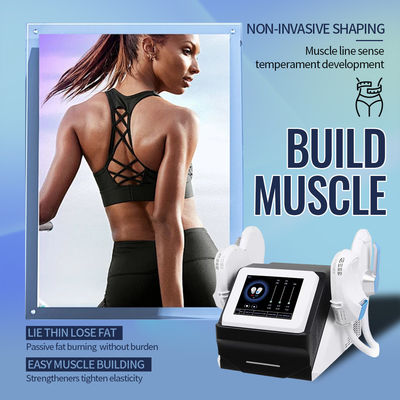 2 ручки OEM мышечная стимуляция Slimming Machine EMS Сделано в Китае